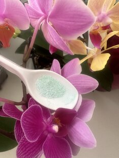 Подкормки орхидей