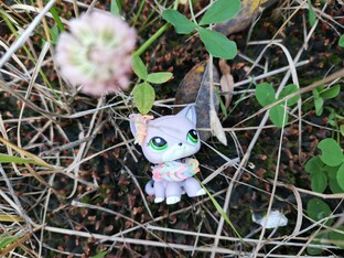  "С двумя сёстрами" Сериал (FINISHED)