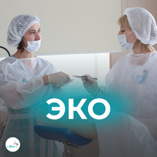 Всё про ЭКО