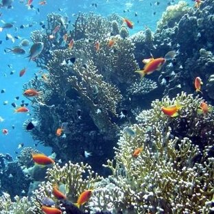 Это интересно