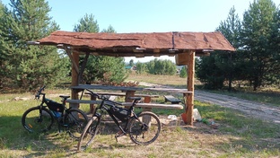ЛЕСНЫЕ ТРОПЫ