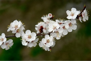 Стихи Светланы Севриковой