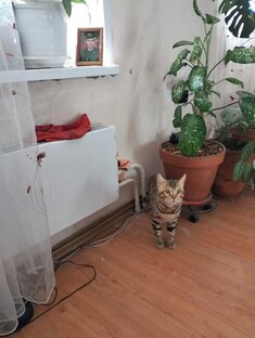 Рассказы из дневников.(Соня)