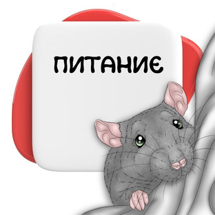 Питание и рацион