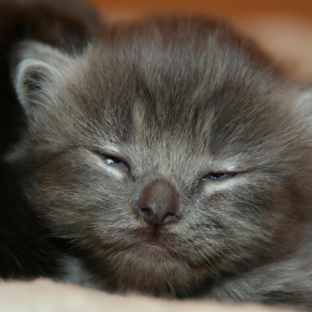 Моя вселенная 