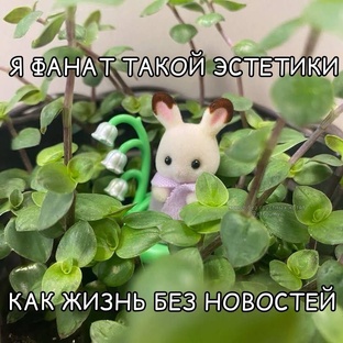 ТРЕВОЖНОСТЬ