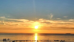 Видеостихи