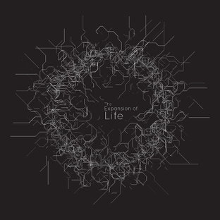 Код и жизнь