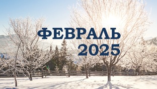 ФЕВРАЛЬ 2025