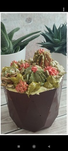 Наташины тортики