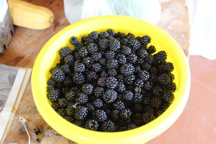 Ягоды на пасеке