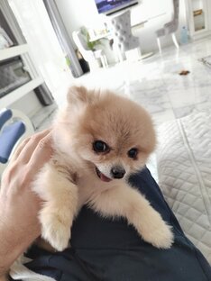 Мое творчество. Рассказы и книги 