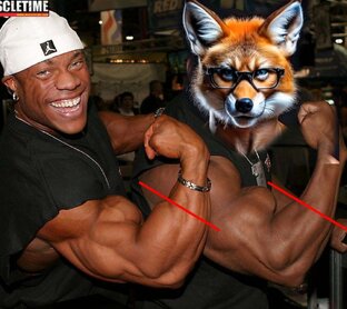 Упражнения 💪🦊