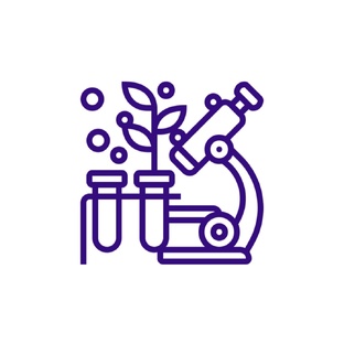 Наука о мигрени