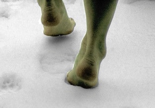 Последний снегопад: Эхо пустых коридоров 