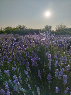 Окунëвка- 2025