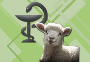 Болезни и лечение