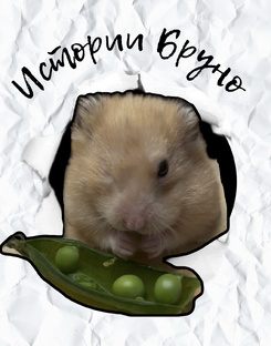 Истории Бруно