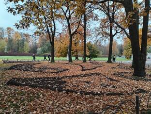 НОЯБРЬ 2025 - Таро