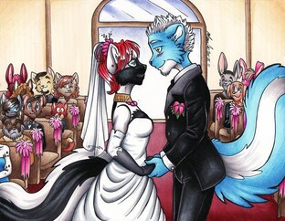 Фурри знакомства