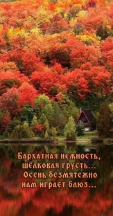Сказочной осени🍁🍁🍁