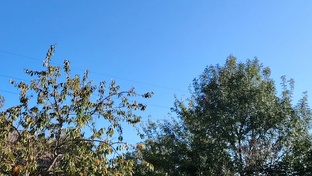 Немного о нашей жизни и о разном ! 