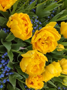 Садоводство и цветоводство