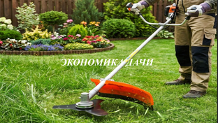 Экономика дачи: нервы и деньги