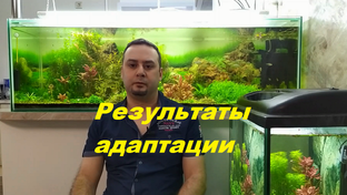Результаты Адаптации Меристемных Растений