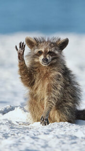 Прикольные видео!