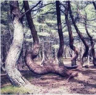 ПОДБОРКИ НЕОБЫЧНЫХ МЕСТ