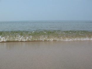 Всякая всячина за жизнь