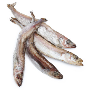 Путассу: тайны глубоководной рыбы, которую недооценили