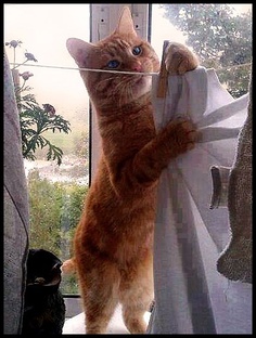 Рассказы и монологи