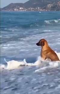 Жить в Сочи / Отзывы переехавших на ПМЖ
