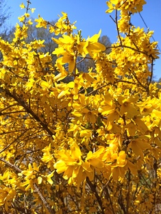 Тайланд,Пхукет,Краби,ноябрь 2025