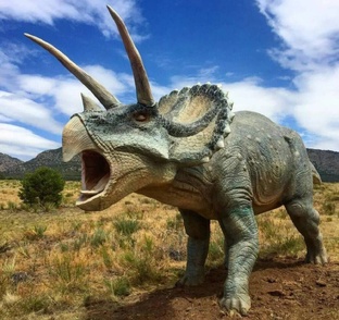 Трицератопс