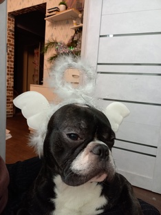 Экономное меню на неделю.