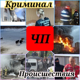Чрезвычайные происшествия, криминальные сводки.