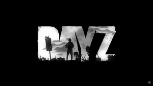 DayZ