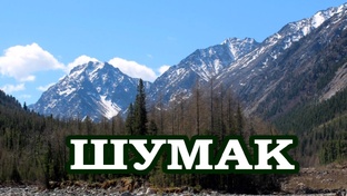 Шумак 2024