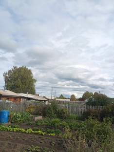 Садово-огородные будни