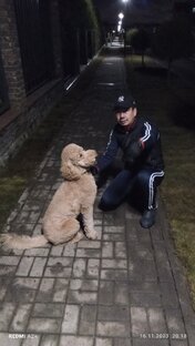 Реальность в воображении