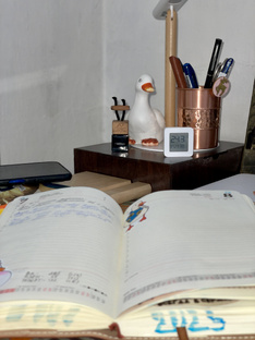 Жизнь в деревне как она есть