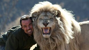 Жизнь животных