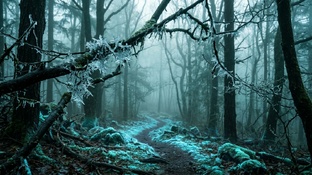 Странная природа