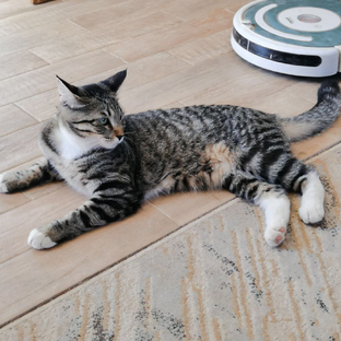 Дневник Маргошки