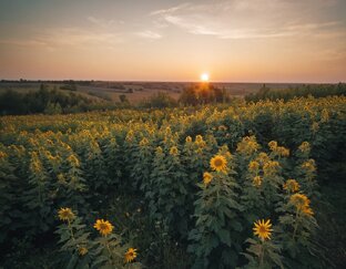 Путешествия