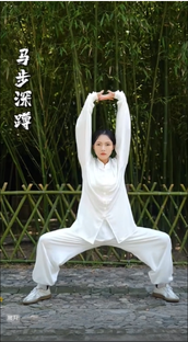 Видео выполнения Тайцзицюань