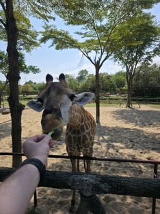 На лайте 🏝